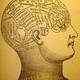 Mind. Wikimedia Commons